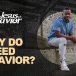 Witness21 Editor  2024 05 09