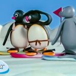 Pingu Has Fun with his Friends! 🐧 | Pingu – Official Channel | Cartoons For Kids - Kids (0-4), Kingdom Kids Zone - Pingu - Official Channel