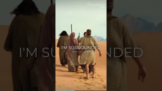 But Many Hands…. #thepromisedlandseries #mannamayhem #holyhumor - Movies & TV, Shorts, Tv Series - The Promised Land
