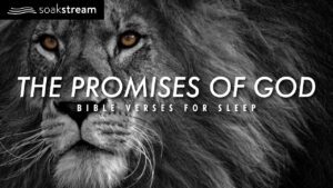 The Promises of God | Bible Verses For Sleep - Hope & Healing, Meditations - SOAKSTREAM - Healing Scriptures