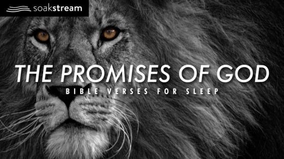 The Promises of God | Bible Verses For Sleep - Hope & Healing, Meditations - SOAKSTREAM - Healing Scriptures