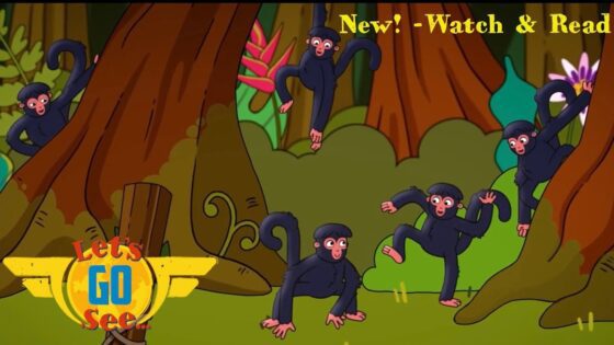 Watch and Read – The Monkey's Lost – Exploring the Amazon Rainforest @LetsGoSee - Kingdom Kids Zone, Little Learners - Let's Go See