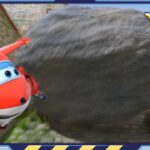 Witness21 Editor  2024 06 22