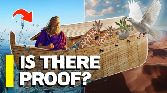 Was Noah's Ark Actually Real? - Is the Bible Reliable?, Truth Seekers - Cold-Case Christianity - J. Warner & Jimmy Wallace