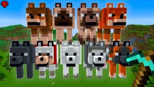 I Built Every Hecking Dog in Minecraft - Gameplay, Kingdom Kids Zone, Minecraft - CringyGull