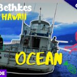 Thumbnail of a boat on the ocean with bright yellow 'OCEAN' text and doodles, advertising 'The Bethkes Epic Hawaii' and 'Full Episode'