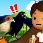 Witness21 Editor  2024 06 01