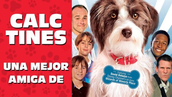 Calcetines: Una mejor amiga de | Pelicula Completas en Español | Para toda la familia - Full Movies, Movies & TV - Deep C Digital