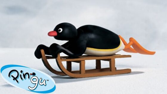 Surfing Pingu! 🐧 | Pingu – Official Channel | Cartoons For Kids - Kids (0-5), Kingdom Kids Zone - Pingu - Official Channel