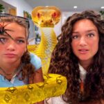 Two young women indoors posing with a large yellow snake draped across the foreground, looking at the camera.