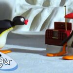 Pingu Learns Music! 🐧 | Pingu – Official Channel | Cartoons For Kids - Kids (0-4), Kingdom Kids Zone - Pingu - Official Channel