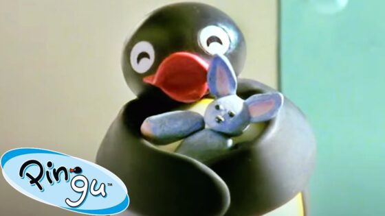 Where is the Rabbit? 🐧 | Pingu – Official Channel | Cartoons For Kids - Kids (0-5), Kingdom Kids Zone - Pingu - Official Channel