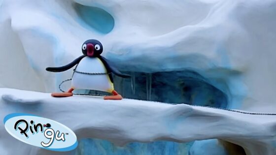 Climbing the Tallest Mountain! 🐧 | Pingu – Official Channel | Cartoons For Kids - Kids (0-5), Kingdom Kids Zone - Pingu - Official Channel