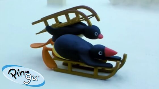 Sledding With Pingu! 🐧 | Pingu – Official Channel | Cartoons For Kids - Kids (0-5), Kingdom Kids Zone - Pingu - Official Channel
