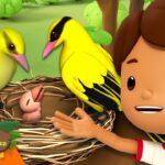 Witness21 Editor  2024 06 08