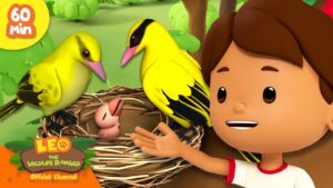 Witness21 Editor  2024 06 08