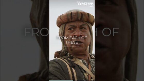Can the tribe of Dan turn it around? (spoiler alert: they can’t) #thepromisedlandseries #holyhumor - Movies & TV, Shorts, Tv Series - The Promised Land