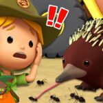 Witness21 Editor  2024 06 15