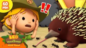 Witness21 Editor  2024 06 15