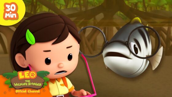 Witness21 Editor  2024 06 06