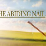 Witness21 Editor  2024 07 05