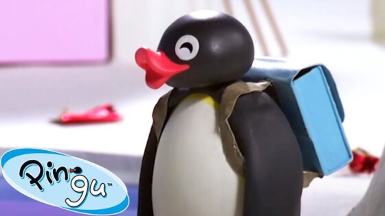 All Packed Up! 🐧 | Pingu – Official Channel | Cartoons For Kids - Kids (0-5), Kingdom Kids Zone - Pingu - Official Channel