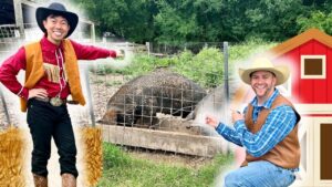 Two cowboys in western outfits stand by a pig pen, pointing at a resting pig inside the wire enclosure on a farm.
