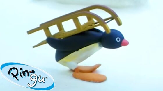 The BIG Sled! 🐧 | Pingu – Official Channel | Cartoons For Kids - Kids (0-5), Kingdom Kids Zone - Pingu - Official Channel