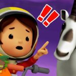 Witness21 Editor  2024 07 04