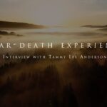 Witness21 Editor  2024 08 25