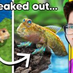 I Killed My Friends Minecraft Walking Fish, So I Got One in Real Life - Gameplay, Kingdom Kids Zone, Minecraft - EYstreem