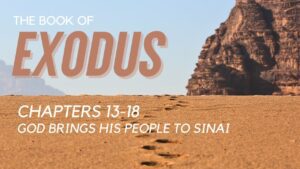 The Book of Exodus Reading – Chapter 13-18 - Documentaries, Movies & TV - Appian Media