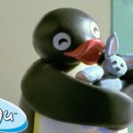 Pinga's Lost Rabbit 🐧 | Pingu – Official Channel | Cartoons For Kids - Kids (0-4), Kingdom Kids Zone - Pingu - Official Channel