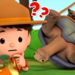 Witness21 Editor  2024 08 24