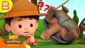 Witness21 Editor  2024 08 24