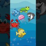 Witness21 Editor  2024 08 28