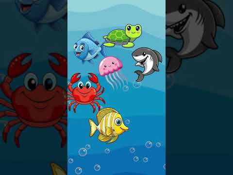 Learn Colors with Ocean Animals | Fun & Educational for Toddlers! - Kingdom Kids Zone, Sing With Me - Little Lights — Christian Toddler Learning