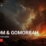 Witness21 Editor  2024 08 13