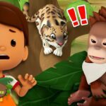 Witness21 Editor  2024 08 31