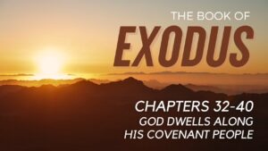 The Exodus Bible Reading – Chapter 32-40 - Documentaries, Movies & TV - Appian Media