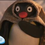 Pingu's Snowman Adventure 🐧 | Pingu – Official Channel | Cartoons For Kids - Kids (0-4), Kingdom Kids Zone - Pingu - Official Channel