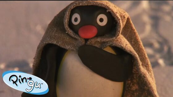 Pingu's Snowman Adventure 🐧 | Pingu – Official Channel | Cartoons For Kids - Kids (0-5), Kingdom Kids Zone - Pingu - Official Channel