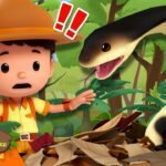 Witness21 Editor  2024 08 17