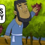 Witness21 Editor  2024 08 19