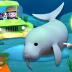 Witness21 Editor  2024 08 03