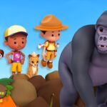 Witness21 Editor  2024 08 08