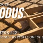 The Book of Exodus Reading – Chapter 1-12 - Documentaries, Movies & TV - Appian Media