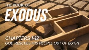 The Book of Exodus Reading – Chapter 1-12 - Documentaries, Movies & TV - Appian Media