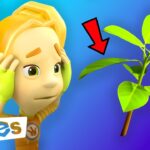 They hurt the plant! | The Fixies | All Season 2 | Cartoon for kids - Kingdom Kids Zone, Little Learners - The Fixies