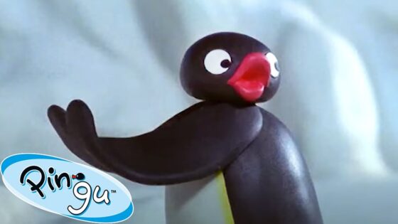 Adventures of Pingu 🐧 | Pingu – Official Channel | Cartoons For Kids - Kids (0-5), Kingdom Kids Zone - Pingu - Official Channel